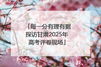 每一分有理有据 探访甘肃2025年高考评卷现场