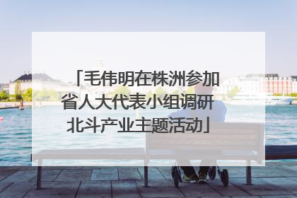 毛伟明在株洲参加省人大代表小组调研北斗产业主题活动