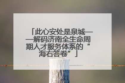 此心安处是泉城——解码济南全生命周期人才服务体系的“海右答卷”