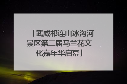 武威祁连山冰沟河景区第二届马兰花文化嘉年华启幕