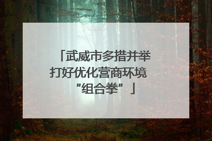 武威市多措并举打好优化营商环境“组合拳”