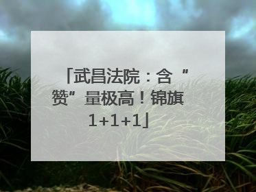武昌法院：含“赞”量极高！锦旗1+1+1