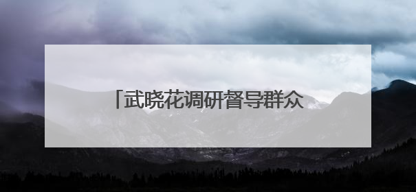 武晓花调研督导群众身边不正之风和腐败问题集中整治工作