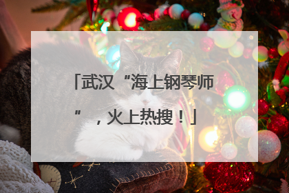 武汉“海上钢琴师”，火上热搜！