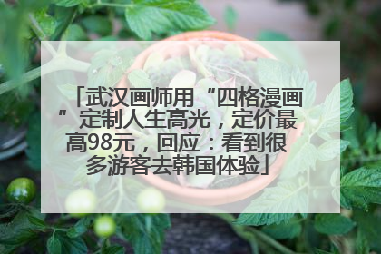 武汉画师用“四格漫画”定制人生高光，定价最高98元，回应：看到很多游客去韩国体验