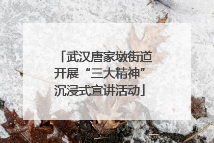 武汉唐家墩街道开展“三大精神”沉浸式宣讲活动