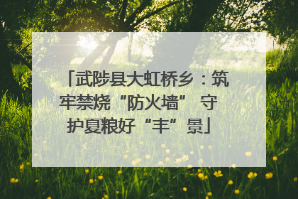 武陟县大虹桥乡：筑牢禁烧“防火墙” 守护夏粮好“丰”景