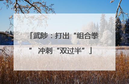武陟：打出“组合拳” 冲刺“双过半”