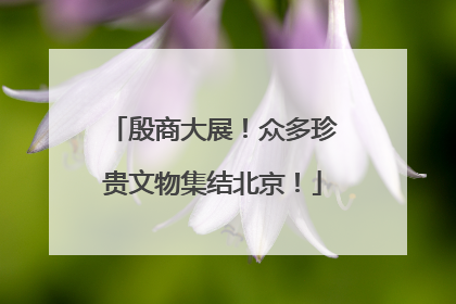 殷商大展！众多珍贵文物集结北京！