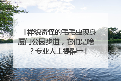 样貌奇怪的毛毛虫现身厦门公园步道，它们是啥？专业人士提醒→