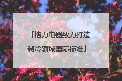 格力电器致力打造制冷领域国际标准