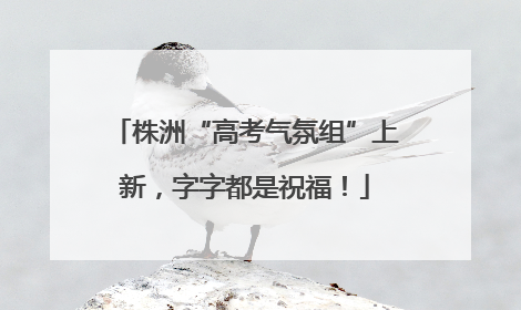 株洲“高考气氛组”上新，字字都是祝福！