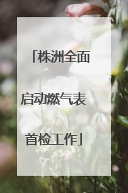 株洲全面启动燃气表首检工作