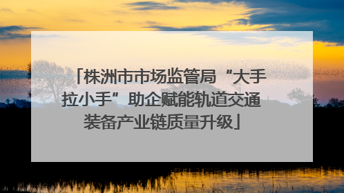 株洲市市场监管局“大手拉小手”助企赋能轨道交通装备产业链质量升级