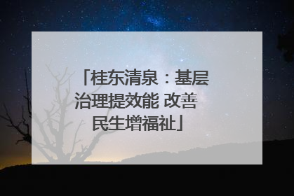桂东清泉：基层治理提效能 改善民生增福祉