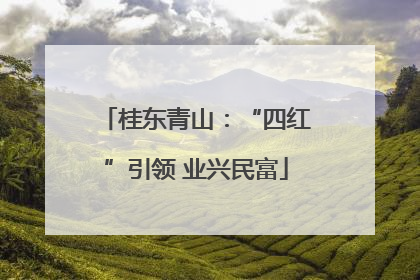 桂东青山：“四红”引领 业兴民富