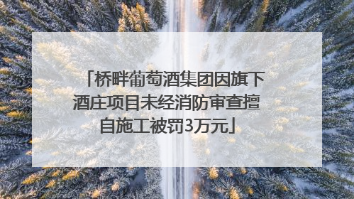 桥畔葡萄酒集团因旗下酒庄项目未经消防审查擅自施工被罚3万元