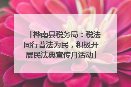 桦南县税务局：税法同行普法为民，积极开展民法典宣传月活动