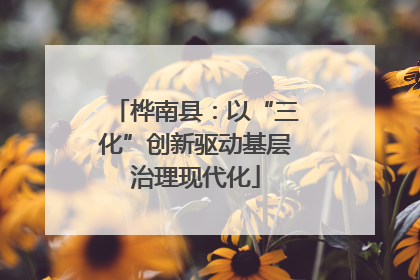 桦南县：以“三化”创新驱动基层治理现代化