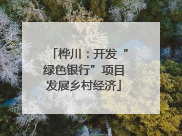 桦川：开发“绿色银行”项目发展乡村经济