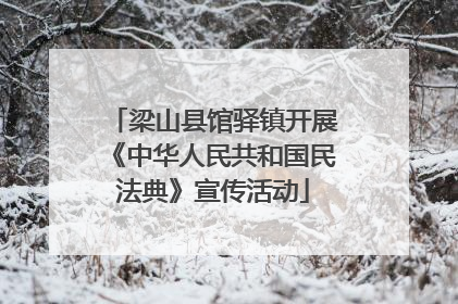 梁山县馆驿镇开展《中华人民共和国民法典》宣传活动