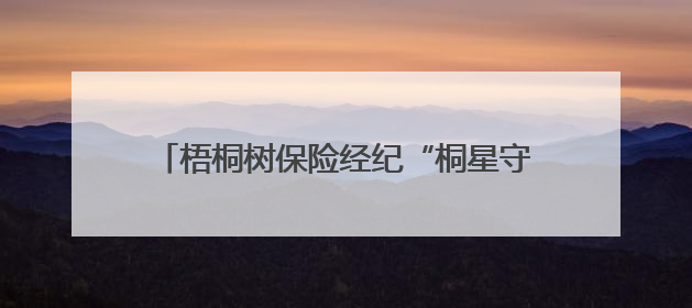 梧桐树保险经纪“桐星守护”关爱活动圆满举行