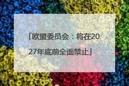 欧盟委员会：将在2027年底前全面禁止