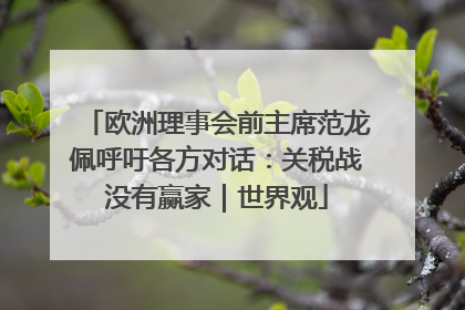 欧洲理事会前主席范龙佩呼吁各方对话：关税战没有赢家｜世界观