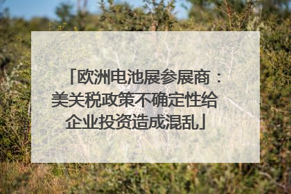 欧洲电池展参展商：美关税政策不确定性给企业投资造成混乱