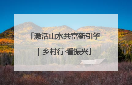 激活山水共富新引擎｜乡村行·看振兴