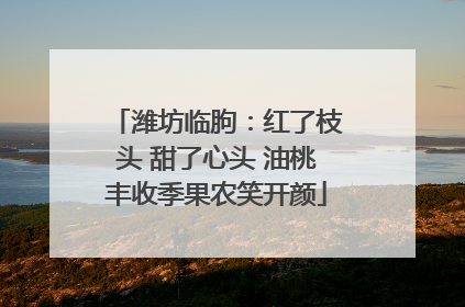 潍坊临朐：红了枝头 甜了心头 油桃丰收季果农笑开颜