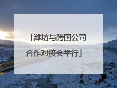 潍坊与跨国公司合作对接会举行