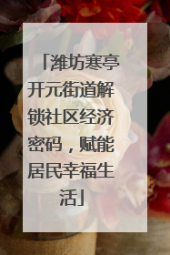潍坊寒亭开元街道解锁社区经济密码，赋能居民幸福生活