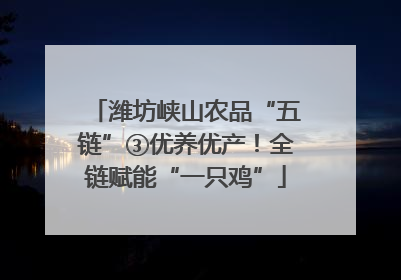 潍坊峡山农品“五链”③优养优产！全链赋能“一只鸡”