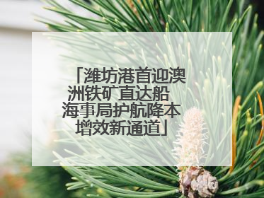 潍坊港首迎澳洲铁矿直达船 海事局护航降本增效新通道