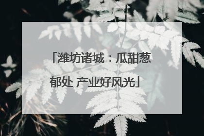 潍坊诸城：瓜甜葱郁处 产业好风光