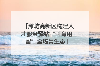潍坊高新区构建人才服务驿站“引育用留”全场景生态