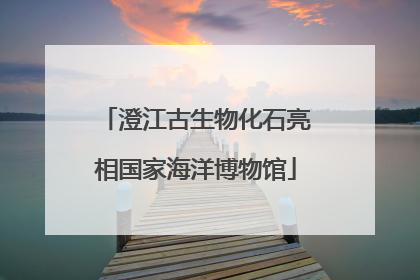 澄江古生物化石亮相国家海洋博物馆