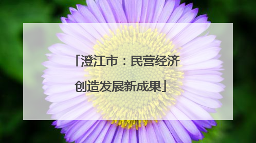 澄江市：民营经济创造发展新成果