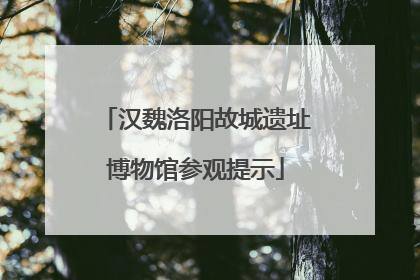 汉魏洛阳故城遗址博物馆参观提示