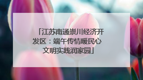 江苏南通崇川经济开发区：端午传情暖民心 文明实践润家园