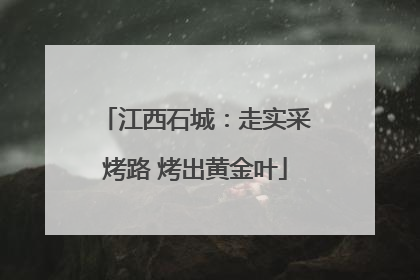 江西石城：走实采烤路 烤出黄金叶