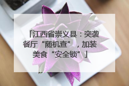 江西省崇义县：突袭餐厅“随机查”，加装美食“安全锁”