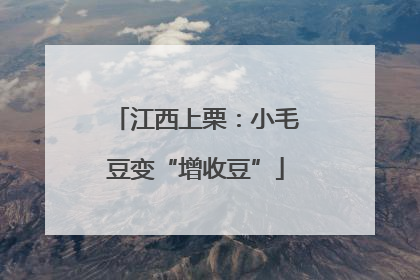 江西上栗：小毛豆变“增收豆”