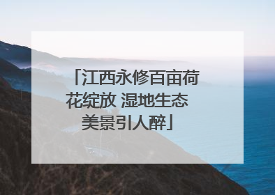 江西永修百亩荷花绽放 湿地生态美景引人醉