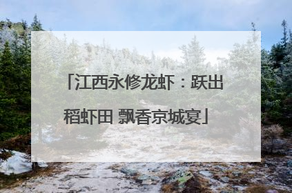 江西永修龙虾：跃出稻虾田 飘香京城宴