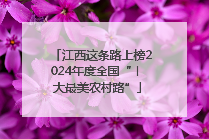 江西这条路上榜2024年度全国“十大最美农村路”