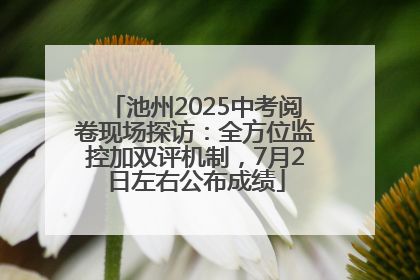 池州2025中考阅卷现场探访：全方位监控加双评机制，7月2日左右公布成绩