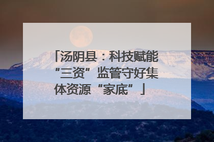 汤阴县：科技赋能“三资”监管守好集体资源“家底”