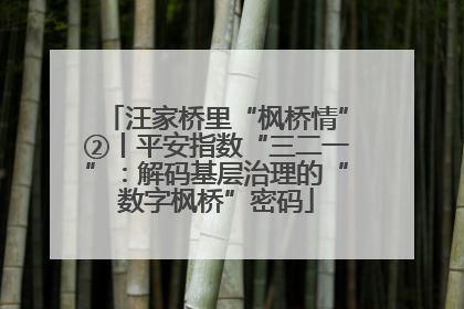汪家桥里“枫桥情”②丨平安指数“三二一”：解码基层治理的“数字枫桥”密码